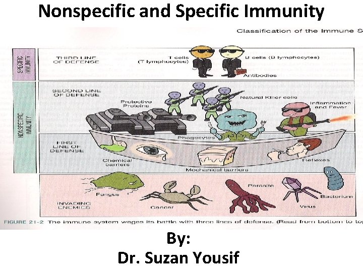 Nonspecific and Specific Immunity By: Dr. Suzan Yousif 