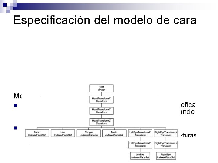 Especificación del modelo de cara Modelado de la cara usando un grafo de escena