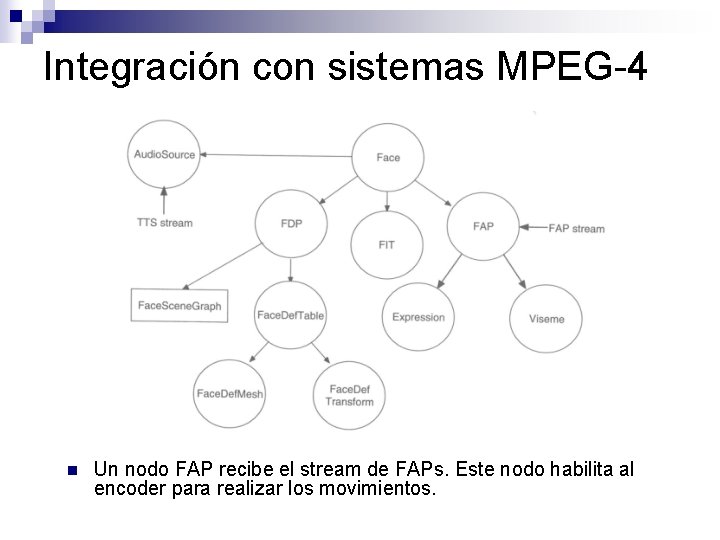 Integración con sistemas MPEG-4 n Un nodo FAP recibe el stream de FAPs. Este