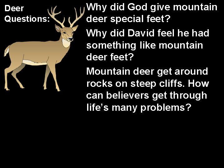Deer Questions: Why did God give mountain deer special feet? Why did David feel