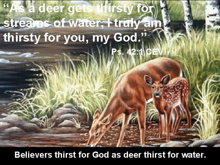 “As a deer gets thirsty for streams of water, I truly am thirsty for