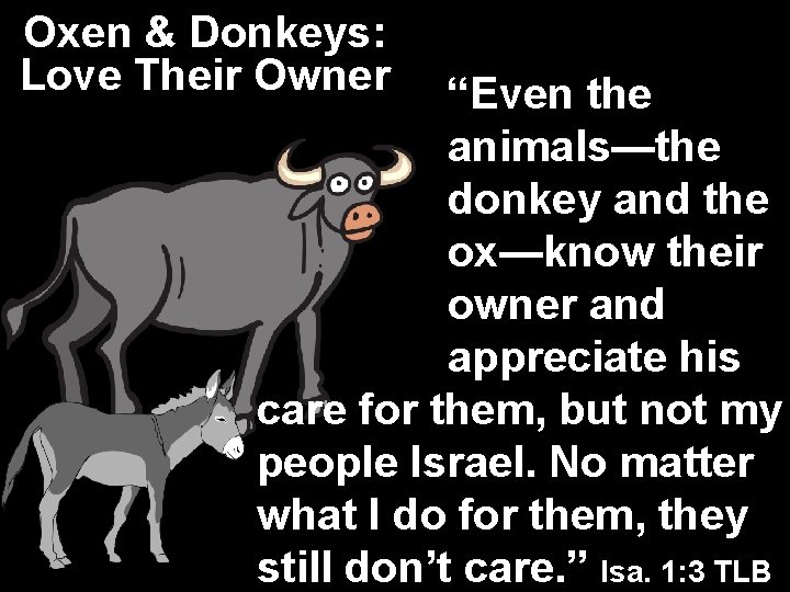 Oxen & Donkeys: Love Their Owner “Even the animals—the donkey and the ox—know their