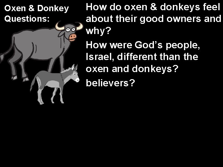 Oxen & Donkey Questions: How do oxen & donkeys feel about their good owners