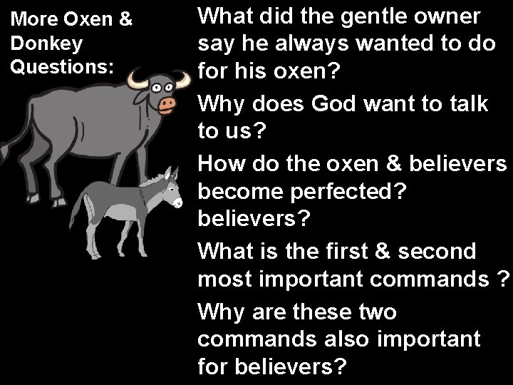 More Oxen & Donkey Questions: What did the gentle owner say he always wanted