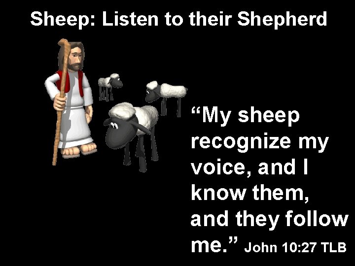 Sheep: Listen to their Shepherd “My sheep recognize my voice, and I know them,