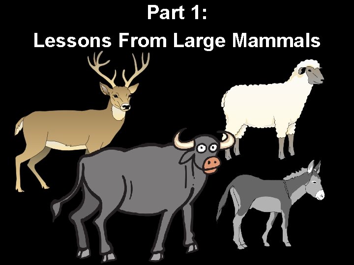 Part 1: Lessons From Large Mammals 