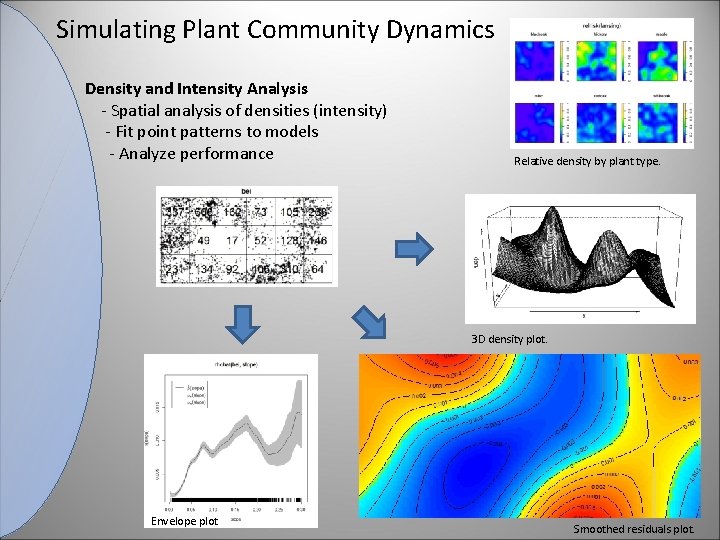 Simulating Plant Community Dynamics Density and Intensity Analysis - Spatial analysis of densities (intensity)