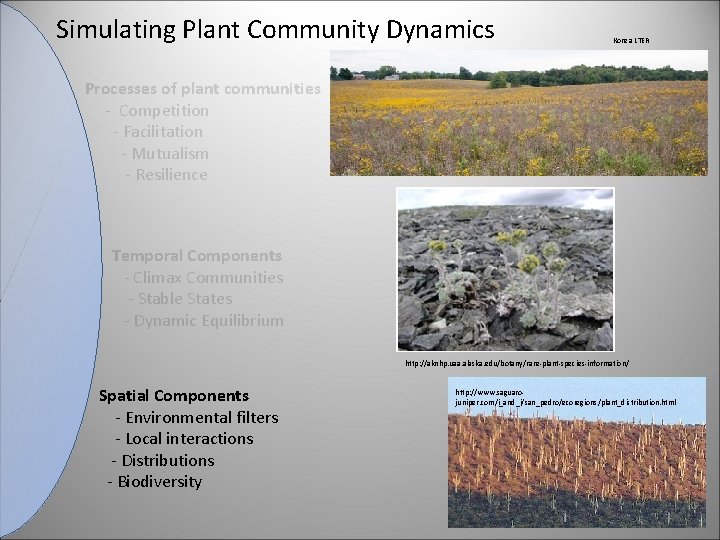 Simulating Plant Community Dynamics Konza LTER Processes of plant communities - Competition - Facilitation
