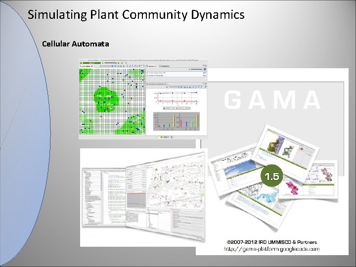 Simulating Plant Community Dynamics Cellular Automata 
