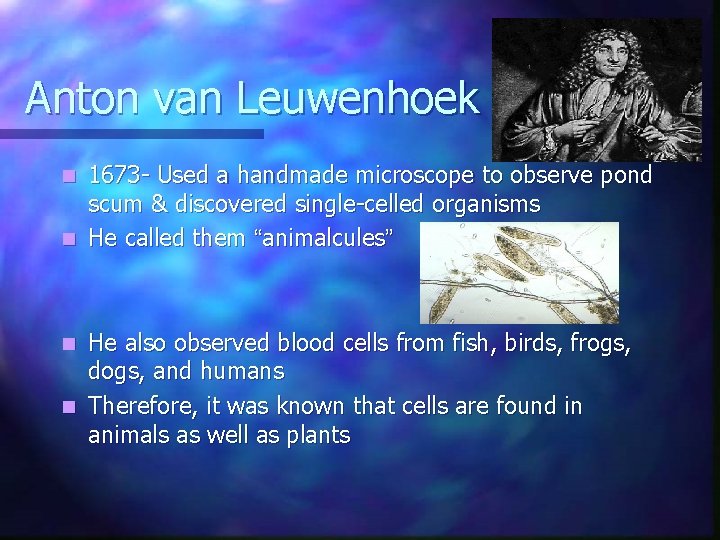 Anton van Leuwenhoek 1673 - Used a handmade microscope to observe pond scum &