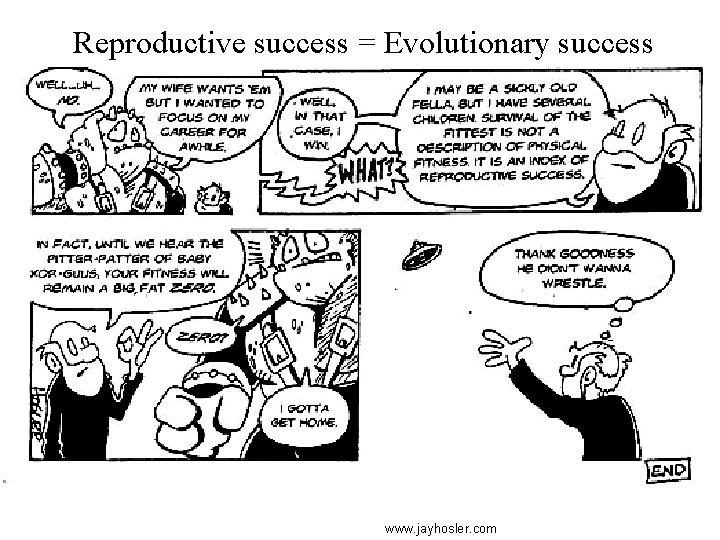 Reproductive success = Evolutionary success www. jayhosler. com 