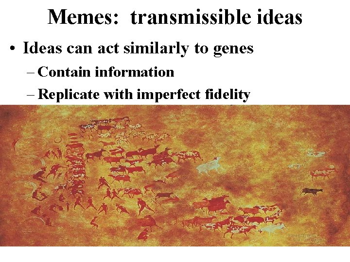 Memes: transmissible ideas • Ideas can act similarly to genes – Contain information –