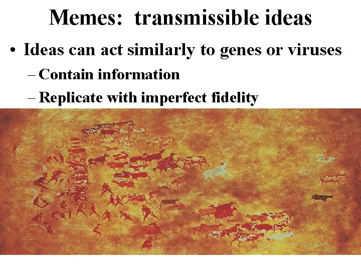 Memes: transmissible ideas • Ideas can act similarly to genes or viruses – Contain