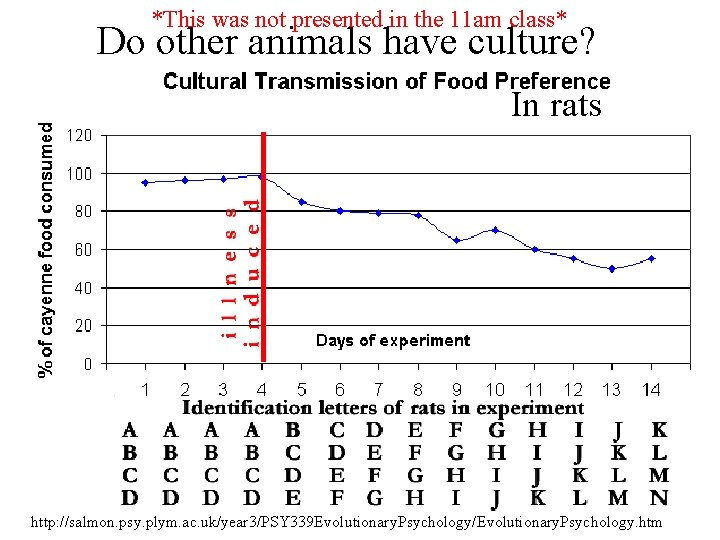 *This was not presented in the 11 am class* Do other animals have culture?