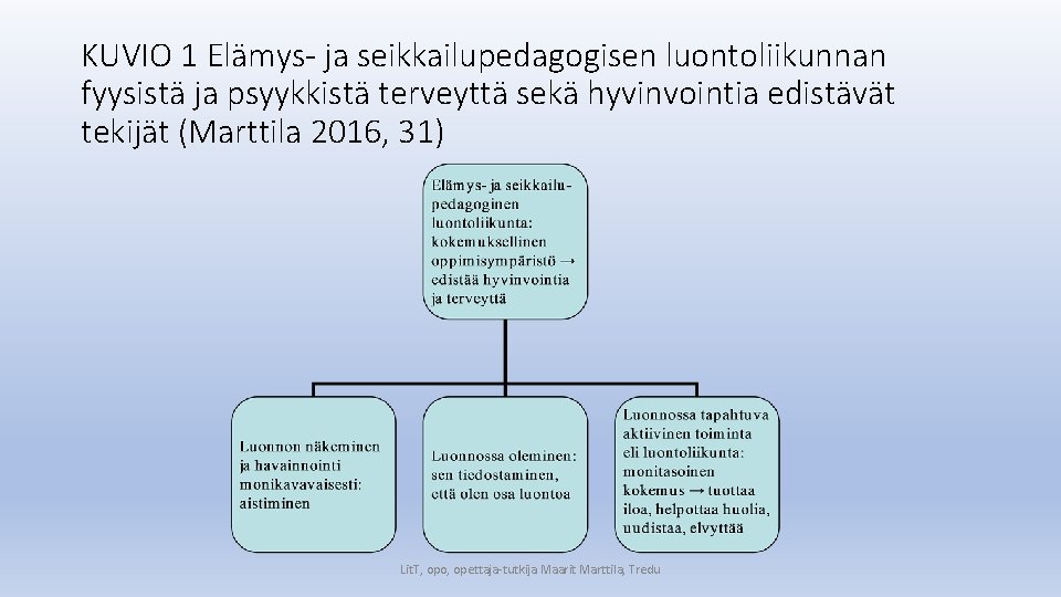 KUVIO 1 Elämys- ja seikkailupedagogisen luontoliikunnan fyysistä ja psyykkistä terveyttä sekä hyvinvointia edistävät tekijät