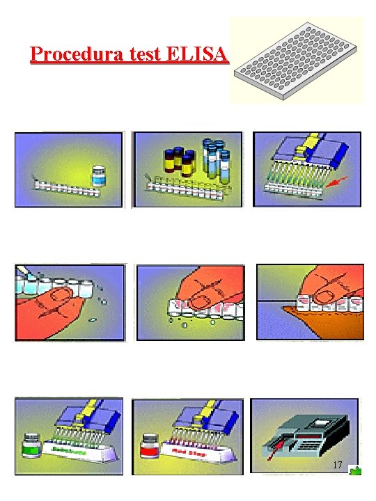 Procedura test ELISA 17 