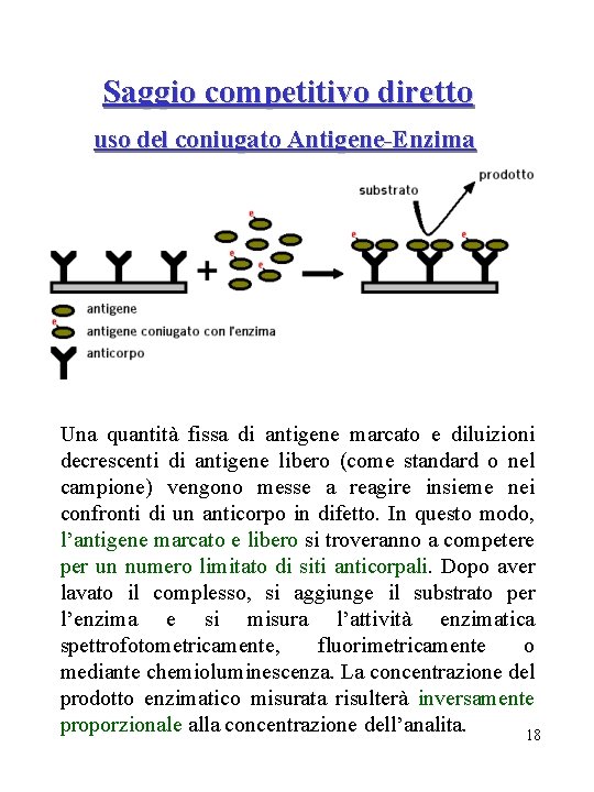 Saggio competitivo diretto uso del coniugato Antigene-Enzima Una quantità fissa di antigene marcato e