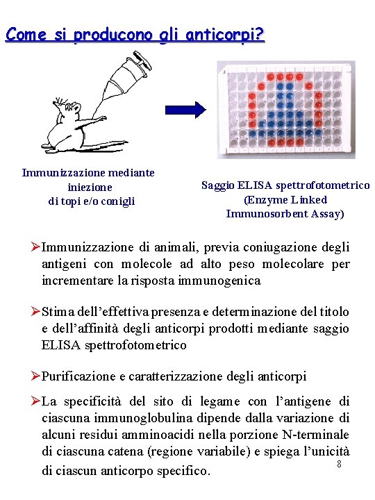 Come si producono gli anticorpi? Immunizzazione mediante iniezione di topi e/o conigli Saggio ELISA