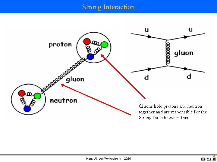 Strong Interaction Gluons hold protons and neutron together and are responsible for the Strong Strong Interaction Gluons hold protons and neutron together and are responsible for the Strong