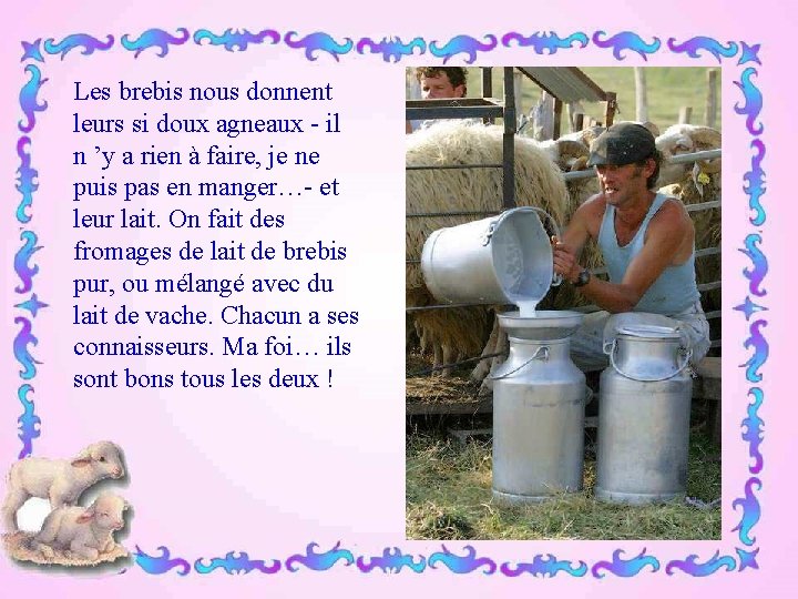 Les brebis nous donnent leurs si doux agneaux - il n ’y a rien