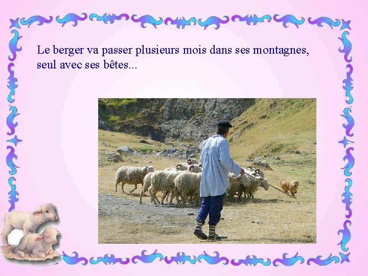 Le berger va passer plusieurs mois dans ses montagnes, seul avec ses bêtes. .