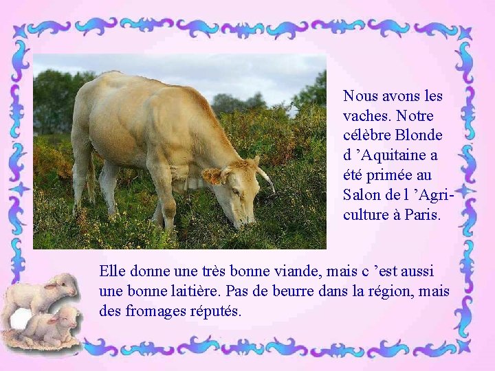 Nous avons les vaches. Notre célèbre Blonde d ’Aquitaine a été primée au Salon