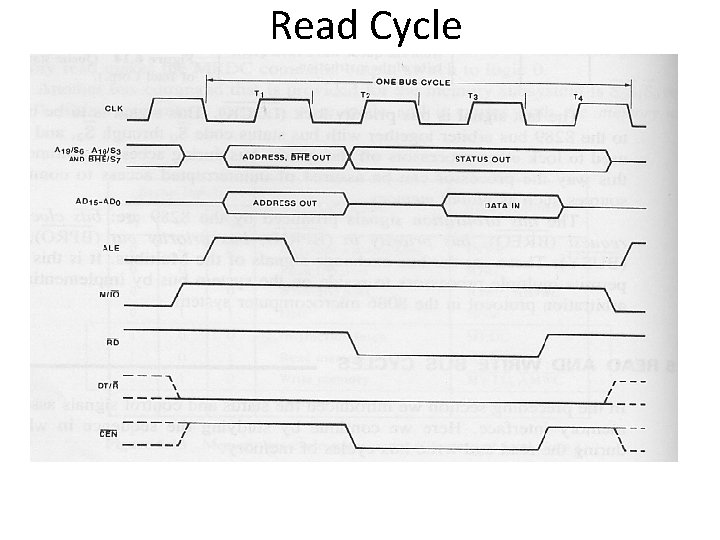 Read Cycle 