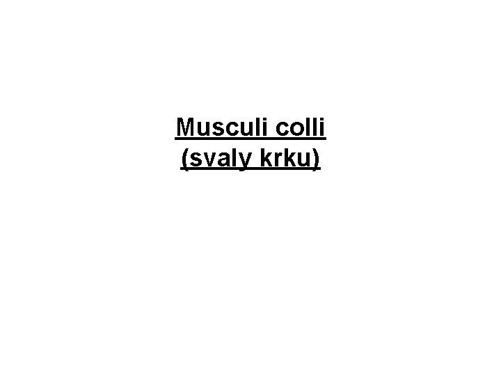 Musculi colli (svaly krku) 