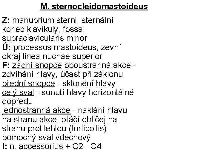 M. sternocleidomastoideus Z: manubrium sterni, sternální konec klavikuly, fossa supraclavicularis minor Ú: processus mastoideus,