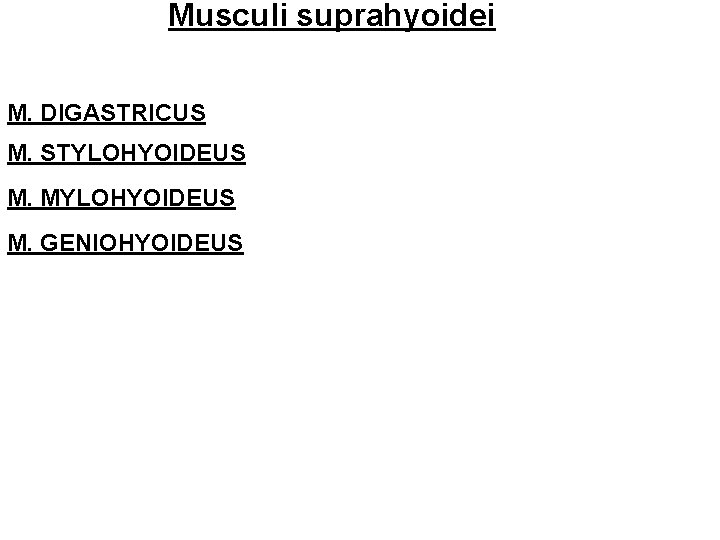 Musculi suprahyoidei M. DIGASTRICUS M. STYLOHYOIDEUS M. MYLOHYOIDEUS M. GENIOHYOIDEUS 