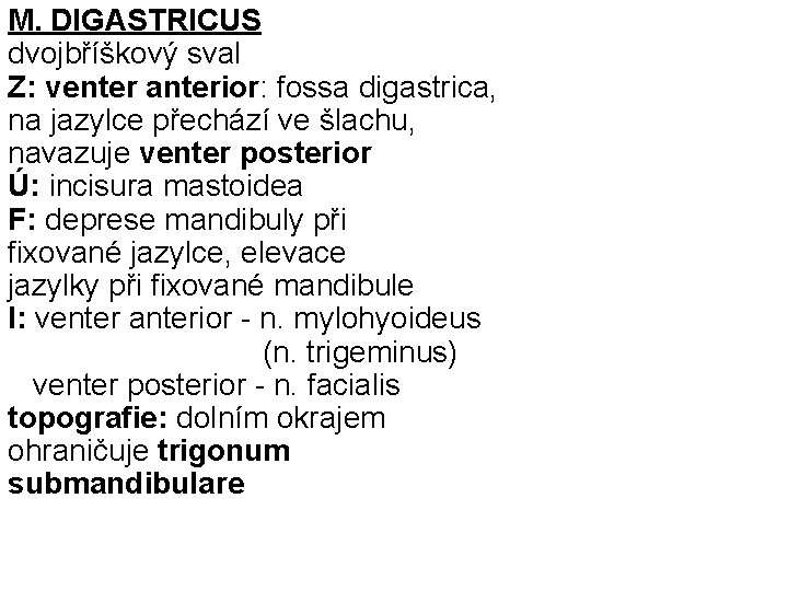 M. DIGASTRICUS dvojbříškový sval Z: venter anterior: fossa digastrica, na jazylce přechází ve šlachu,