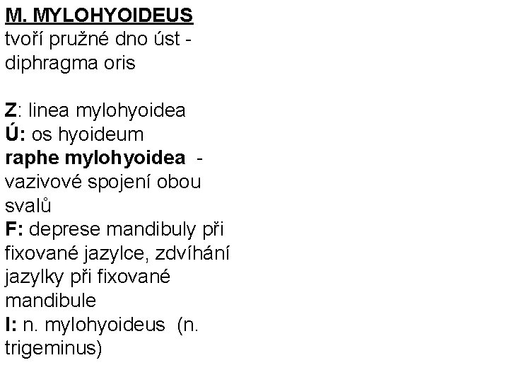 M. MYLOHYOIDEUS tvoří pružné dno úst diphragma oris Z: linea mylohyoidea Ú: os hyoideum