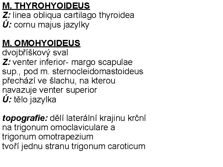 M. THYROHYOIDEUS Z: linea obliqua cartilago thyroidea Ú: cornu majus jazylky M. OMOHYOIDEUS dvojbříškový