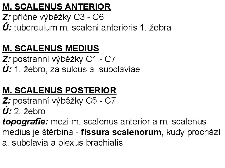 M. SCALENUS ANTERIOR Z: příčné výběžky C 3 - C 6 Ú: tuberculum m.