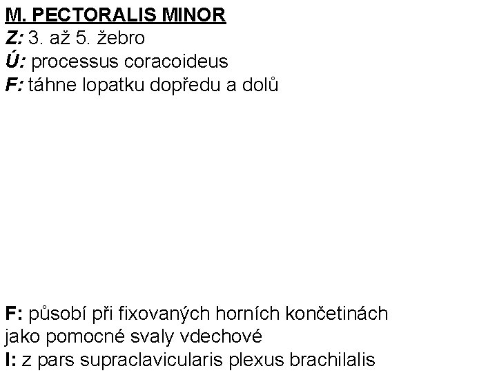 M. PECTORALIS MINOR Z: 3. až 5. žebro Ú: processus coracoideus F: táhne lopatku
