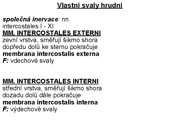 Vlastní svaly hrudní společná inervace: nn. intercostales I - XI MM. INTERCOSTALES EXTERNI zevní