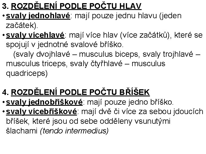 3. ROZDĚLENÍ PODLE POČTU HLAV • svaly jednohlavé: mají pouze jednu hlavu (jeden začátek).