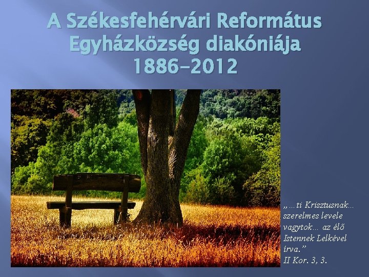 A Székesfehérvári Református Egyházközség diakóniája 1886 -2012 „…ti Krisztusnak… szerelmes levele vagytok… az élő