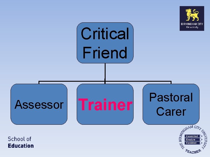 Critical Friend Assessor Trainer Pastoral Carer 