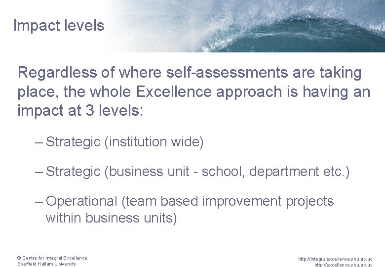 Impact levels Regardless of where self-assessments are taking place, the whole Excellence approach is