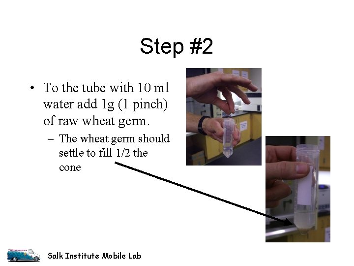 Step #2 • To the tube with 10 ml water add 1 g (1 Step #2 • To the tube with 10 ml water add 1 g (1