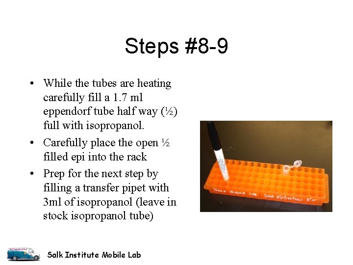 Steps #8 -9 • While the tubes are heating carefully fill a 1. 7 Steps #8 -9 • While the tubes are heating carefully fill a 1. 7