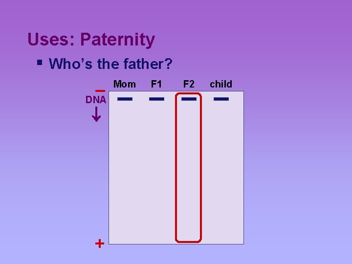 Uses: Paternity § Who’s the father? Mom F 1 – DNA + F 2