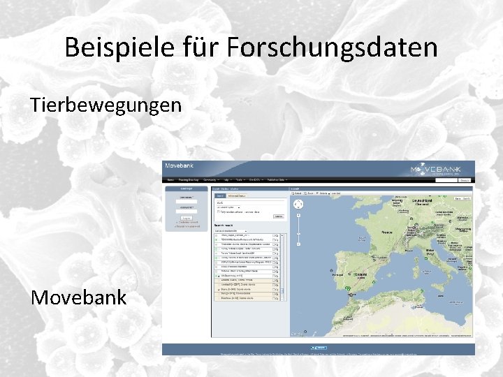 Beispiele für Forschungsdaten Tierbewegungen Movebank 