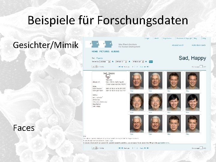 Beispiele für Forschungsdaten Gesichter/Mimik Faces 