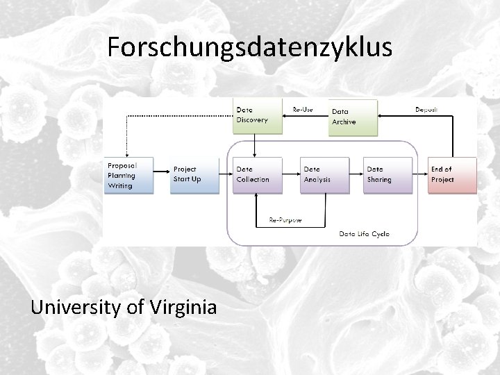 Forschungsdatenzyklus University of Virginia 