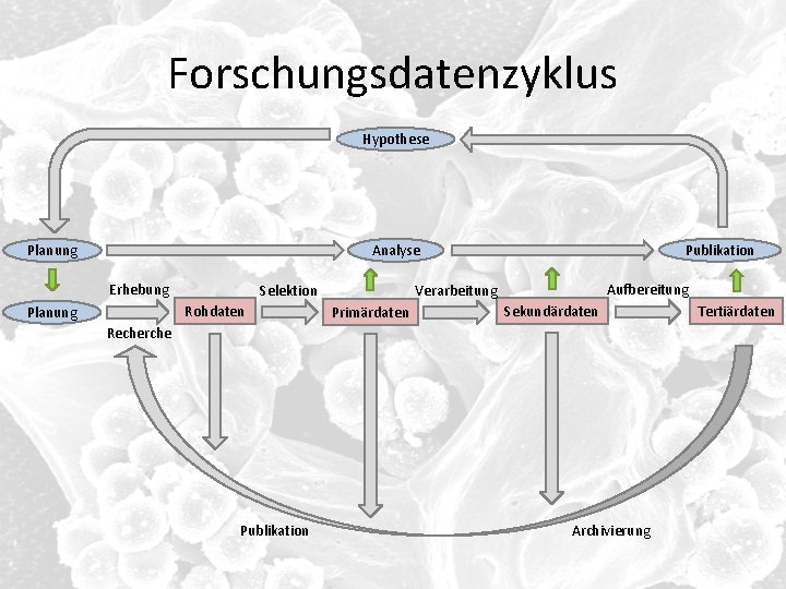 Forschungsdatenzyklus Hypothese Publikation Analyse Planung Erhebung Rohdaten Planung Aufbereitung Verarbeitung Selektion Primärdaten Sekundärdaten Recherche