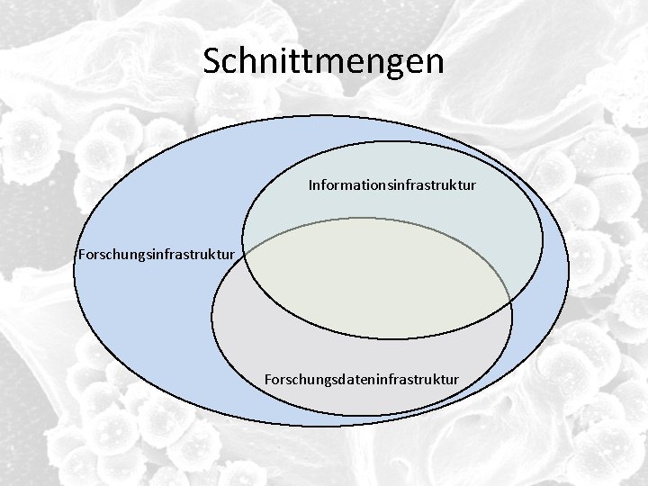 Schnittmengen Informationsinfrastruktur Forschungsdateninfrastruktur 