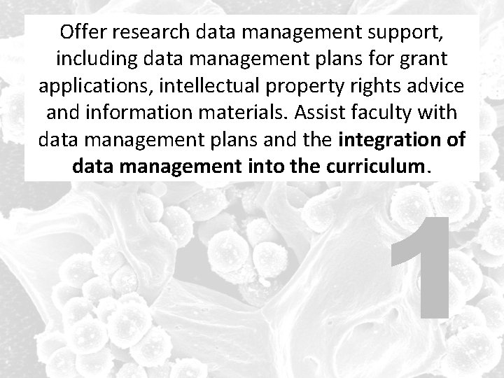 Offer research data management support, including plans for grant including data management plans applications,