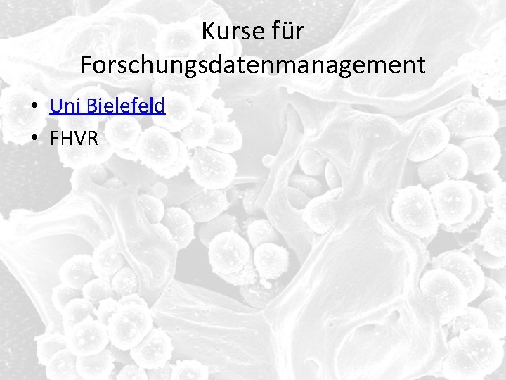 Kurse für Forschungsdatenmanagement • Uni Bielefeld • FHVR 